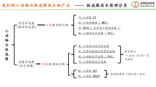 AI改圖-圖片 11-650x365.png AI改圖-圖片 11-650x365.png